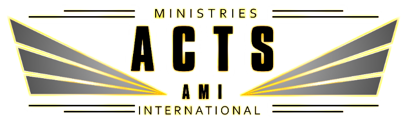 AMI Quarterly Newsletter – November 2017